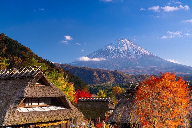 Mt. Fuji Autumn leaves And Heritage Village Trip Tokyo - Who Is This Tour Best For?