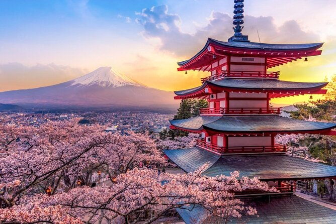 mt-fuji-cherry-blossom-and-shibasakura-festival-tour