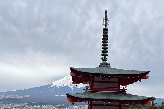 mt-fuji-cherry-blossom-and-shibasakura-festival-tour