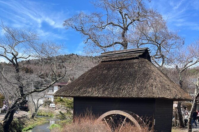 mt-fuji-cherry-blossom-and-shibasakura-festival-tour