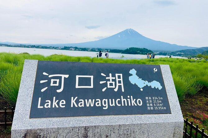 mt-fuji-cherry-blossom-one-day-private-tour-with-pickup
