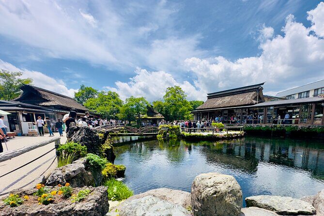 Mt. Fuji, Cherry Blossom & Shiba Sakura Pvt. Day Tour - Is This Tour Right for You?