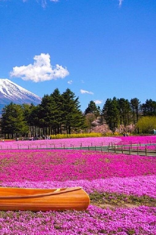 mt-fuji-day-tour-arakura-parkoshino-hakkai-kawaguchi-lake