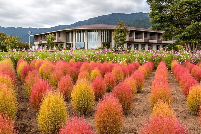 Mt Fuji Day Tour: Chureito Pagoda, Lake Kawaguchi & Oshino Hakkai - What’s Included and What’s Not