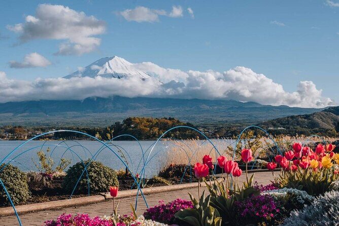 Mt Fuji Day Tour: Chureito Pagoda, Lake Kawaguchi & Oshino Hakkai - Real Experiences & Insights from Reviewers