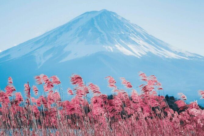 Mt Fuji Day Tour: Chureito Pagoda, Lake Kawaguchi & Oshino Hakkai - Frequently Asked Questions