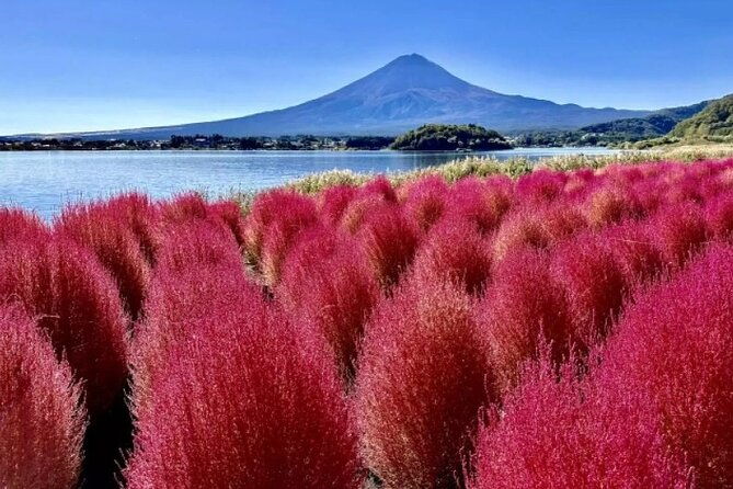 mt-fuji-day-tour-from-shinjuku-in-tokyo-japan