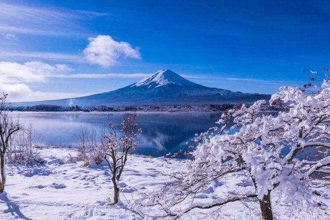 mt-fuji-day-tour-from-shinjuku-in-tokyo-japan