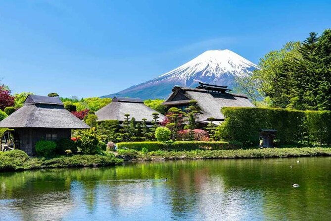 mt-fuji-day-tour-from-tokyo-with-chinese-and-english-service