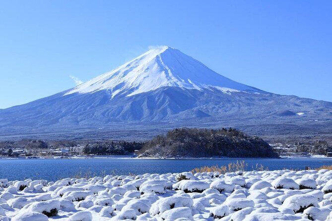 Mt. Fuji Day Trip Arakurayama Sengen and Instagrammable Lawson - FAQ