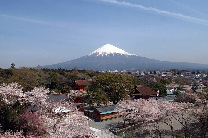 Mt. Fuji Day Trip by Shinkansen & Private Car with Local Culture - Who Should Consider This Tour?