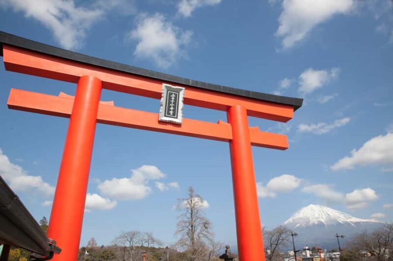 Mt.Fuji Day Trip from Tokyo:Strawberry,Tea Farm(Small Group) - Key Points