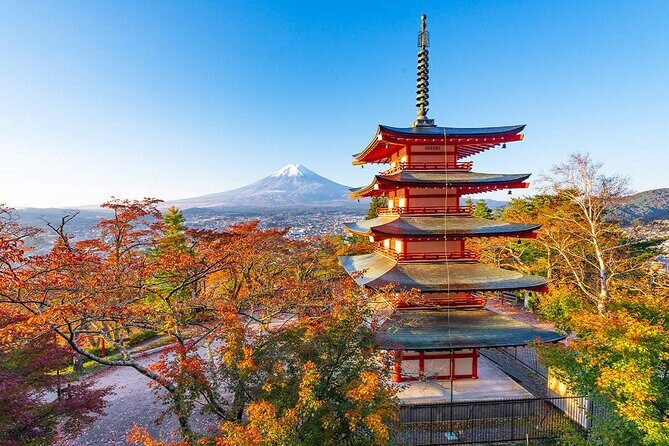 Mt. Fuji Day Trip: Oshino Hakkai, Lake Kawaguchi & Ladder Town - Key Points