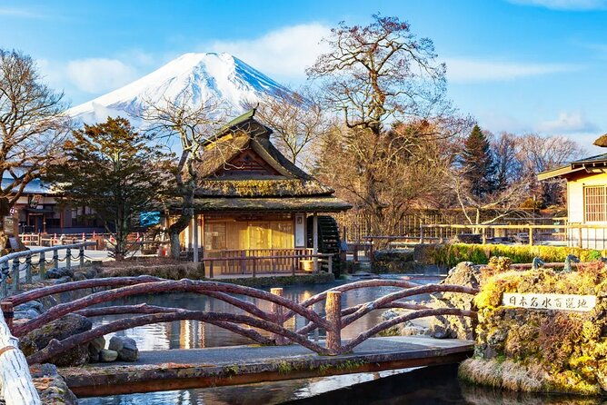mt-fuji-exploration-tour-with-free-japanese-kusa-mochi-from-tokyo