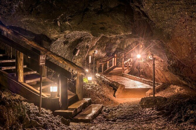 Mt Fuji Full Day Private Tour from Tokyo with English Driver - Who Should Consider This Tour?