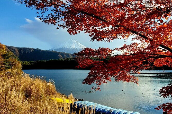mt-fuji-guided-private-tour-green-number-plates