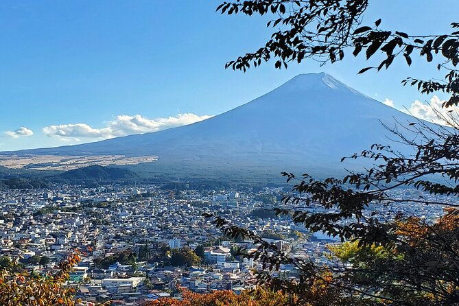 mt-fuji-guided-private-tour-green-number-plates