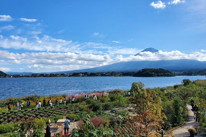 mt-fuji-guided-private-tour-green-number-plates