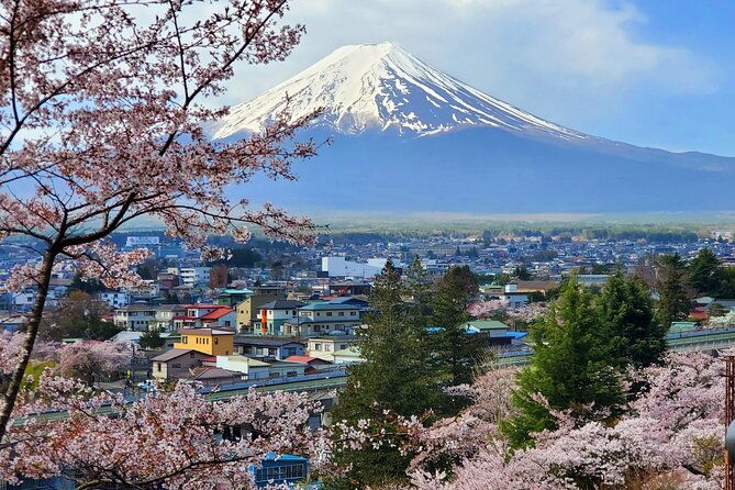mt-fuji-guided-private-tour-green-number-plates