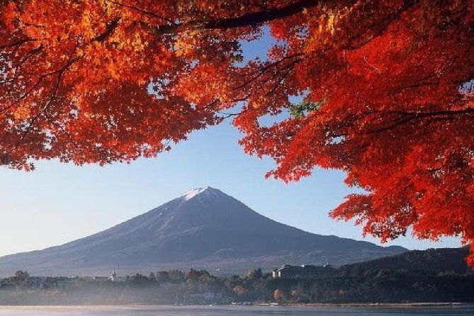 mt-fuji-hakone-cruise-drum-show-bus-1-day-from-tokyo