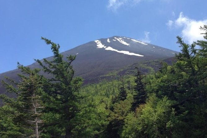 mt-fuji-hakone-cruise-drum-show-bus-1-day-from-tokyo