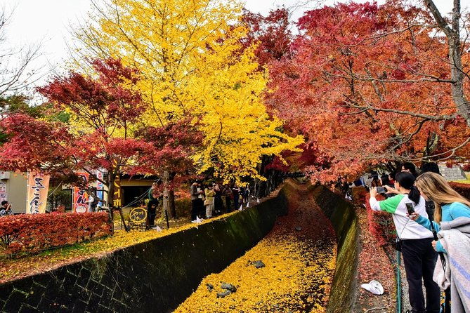 mt-fuji-hakone-day-tour-from-tokyo-by-car-with-jp-local-guide