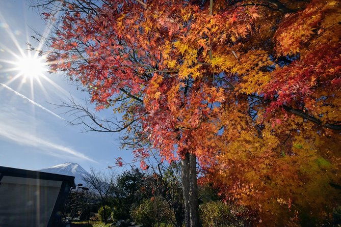 mt-fuji-hakone-day-tour-from-tokyo-by-car-with-jp-local-guide