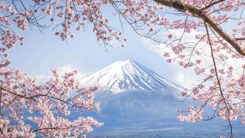 Mt.Fuji Hakone Day Tour With Lake Ashi Cruise, FREE Ropeway - FAQs
