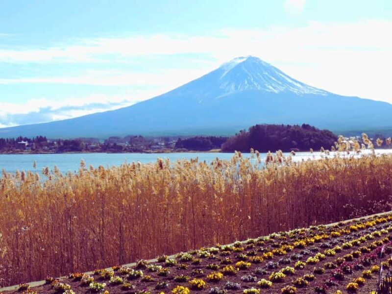 Mt. Fuji & Hakone Day Trip with English-Speaking Driver - Discover the Best of Mt. Fuji & Hakone in One Day