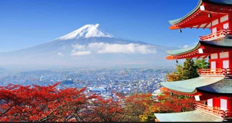 Mt. Fuji & Hakone Day Trip with English-Speaking Driver - Why This Tour Offers Great Value