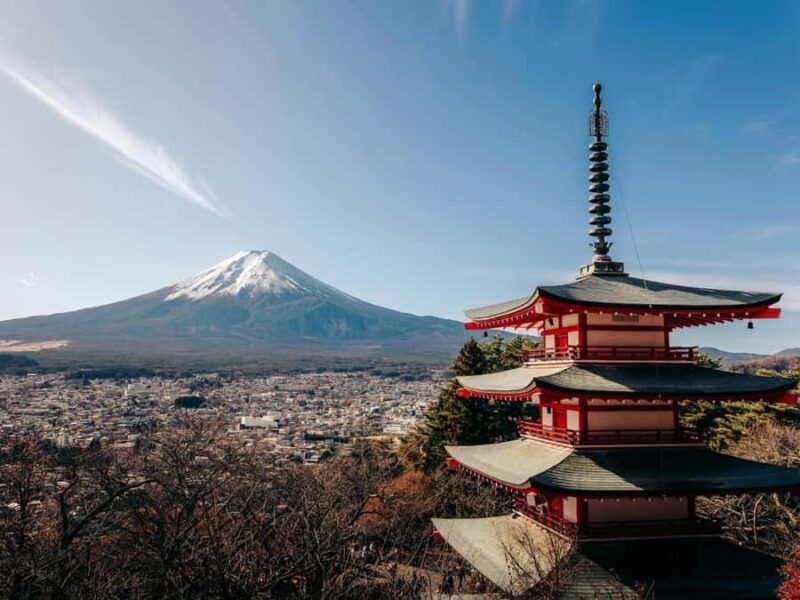 Mt. Fuji & Hakone Day Trip with English-Speaking Driver - Who Is This Tour Best For?