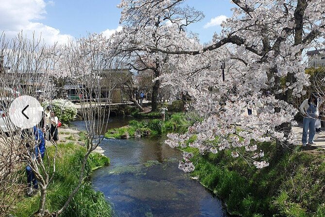 mt-fuji-hakone-full-day-private-tour-with-english-driver-guide