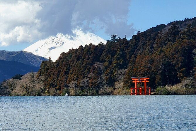 mt-fuji-hakone-guided-private-tour-green-number-plates