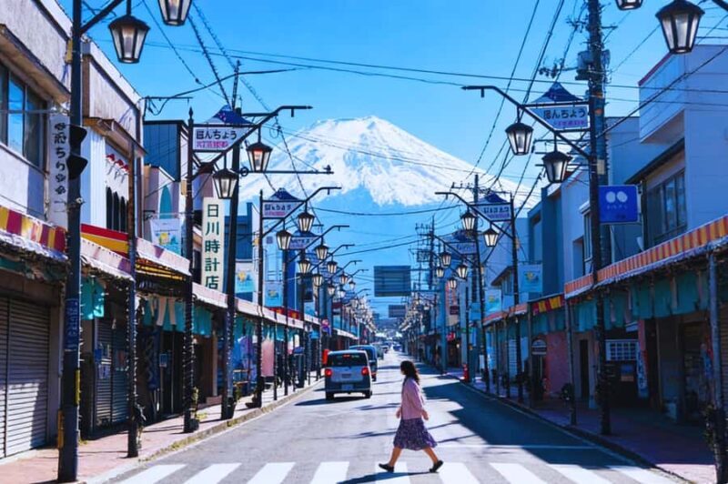 Mt. Fuji, Hakone & Kawaguchiko Scenic Day Tour from Tokyo - Who Is This Tour Best For?