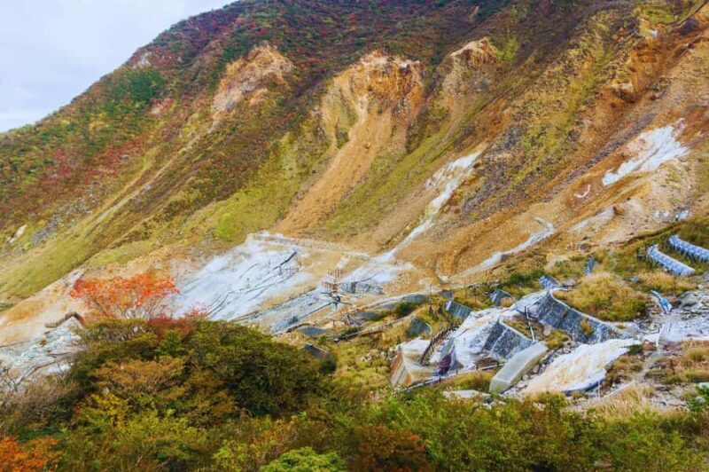 Mt. Fuji, Hakone & Kawaguchiko Scenic Day Tour from Tokyo - FAQ