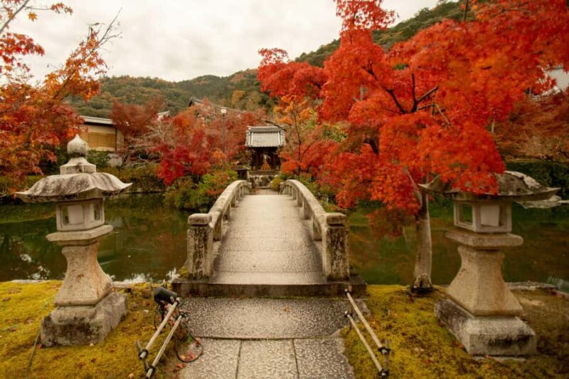 Mt. Fuji, Hakone, Nikko & Nagano Private Tour from Tokyo - Authentic Experiences and Hidden Gems
