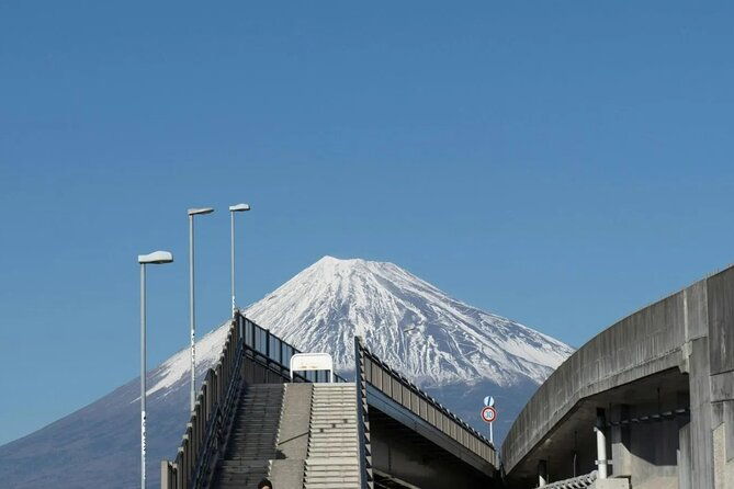 mt-fuji-hakone-private-tour-by-car-pickup-from-tokyo