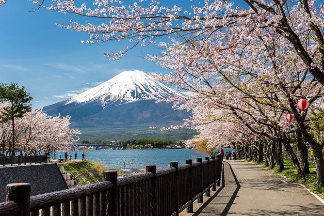 mt-fuji-hakone-private-tour-by-car-pickup-from-tokyo