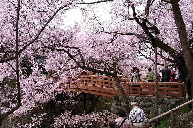 mt-fuji-hakone-private-tour-by-car-pickup-from-tokyo