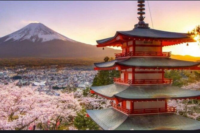 mt-fuji-hakone-private-tour-from-tokyo-yokohama