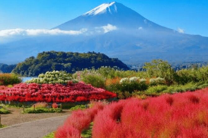 mt-fuji-hakone-private-tour-from-tokyo-yokohama
