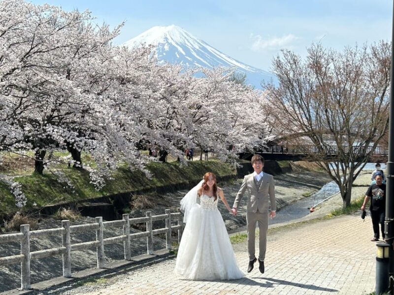 Mt. Fuji & Hakone Private Tour T/F Tokyo, Yokohama up to 12 - Practical Details and Considerations