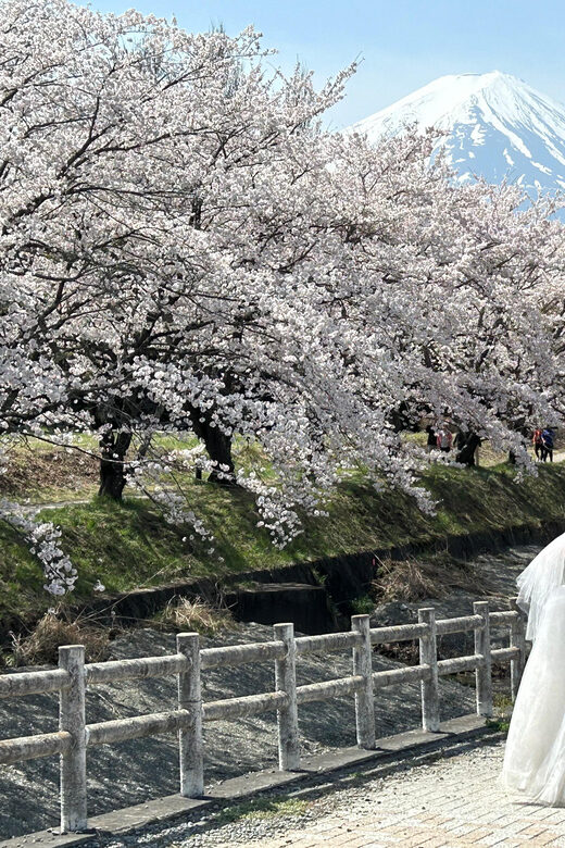 Mt. Fuji & Hakone Private Tour T/F Tokyo, Yokohama up to 12 - Final Thoughts: Who Is This Tour Best For?