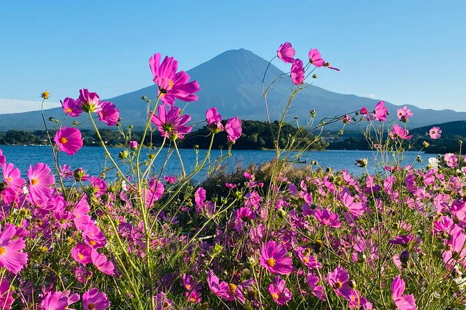 mt-fuji-hakone-private-tour-with-english-speaking-chauffeur