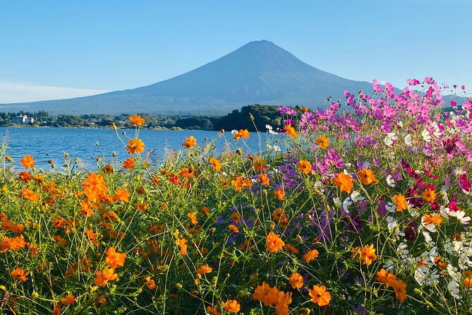 mt-fuji-hakone-private-tour-with-english-speaking-chauffeur
