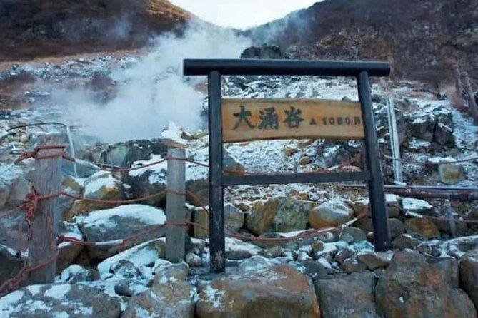mt-fuji-hakone-ropeway-and-oshino-hakkai-day-tour