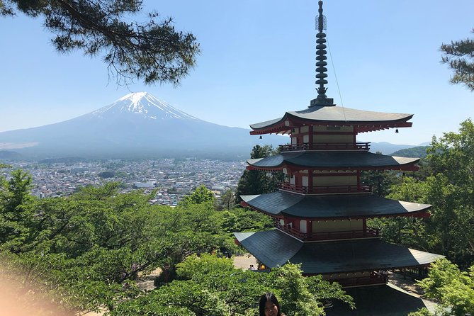 mt-fuji-hakone-tour-from-to-tokyo-yokohama-odawara-2-12guests