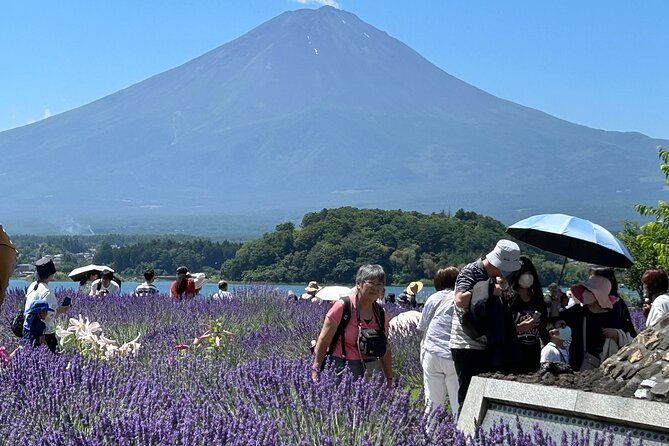 mt-fuji-hakone-tour-from-to-tokyo-yokohama-odawara-2-12guests