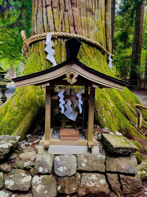 Mt. Fuji & Hakone VIP One Day Tour with pickup and drop off - The Experience: What to Expect on the Tour