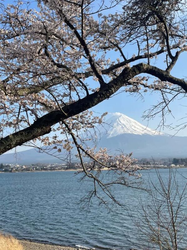 Mt Fuji Hidden Gems with Local Expert Guide - Introduction